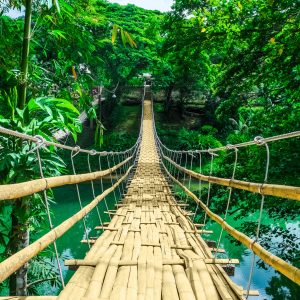 Peinture en plusieurs parties Pont En Bambou Dans La Forêt Tropicale – Image 1