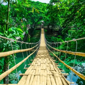 Peinture en plusieurs parties Pont En Bambou Dans La Forêt Tropicale – Image 1