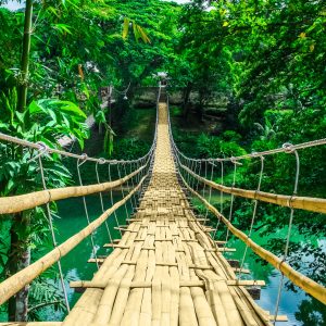 Peinture en plusieurs parties Pont En Bambou Dans Une Forêt Tropicale – Image 1