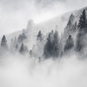 Peinture en plusieurs parties La Forêt Est Enveloppée De Brouillard – Image 1