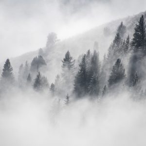 Peinture en plusieurs parties La Forêt Est Enveloppée De Brouillard – Image 1
