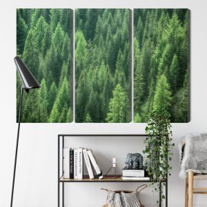 Peinture en plusieurs parties Vue De La Forêt Verte 3D – Image 9