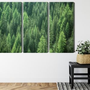Peinture en plusieurs parties Vue De La Forêt Verte 3D – Image 8