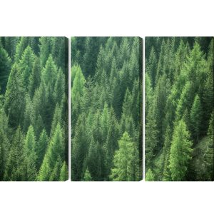 Peinture en plusieurs parties Vue De La Forêt Verte 3D – Image 2