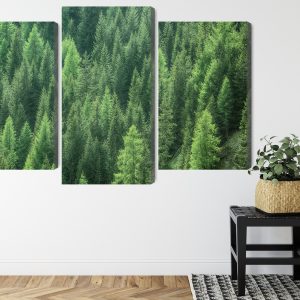 Peinture en plusieurs parties Vue 3D De La Forêt Verte – Image 8