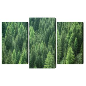 Peinture en plusieurs parties Vue 3D De La Forêt Verte – Image 2