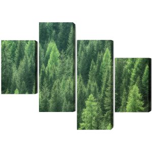 Peinture en plusieurs parties Vue 3D De La Forêt Verte – Image 2