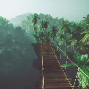 Peinture en plusieurs parties Pont De Singe Dans La Jungle 3D – Image 1