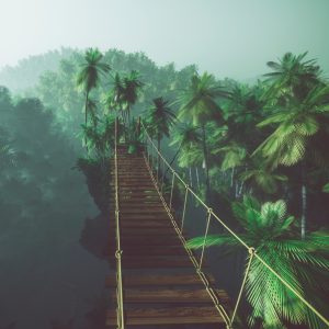 Peinture en plusieurs parties Pont De Singe Dans La Jungle 3D – Image 1