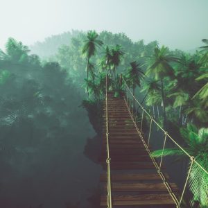 Peinture en plusieurs parties Pont De Singe Dans La Jungle 3D – Image 1