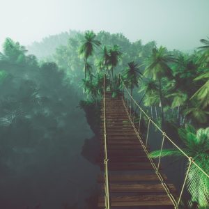 Peinture en plusieurs parties Pont De Singe Dans La Jungle 3D – Image 1