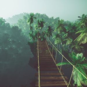 Peinture en plusieurs parties Pont De Singe Dans La Jungle 3D – Image 1