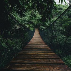 Peinture en plusieurs parties Pont Suspendu En Bois Dans La Forêt – Image 1