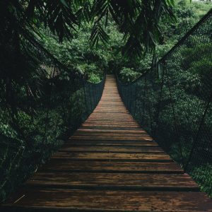 Peinture en plusieurs parties Pont Suspendu En Bois Dans La Forêt – Image 1