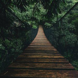 Peinture en plusieurs parties Pont Suspendu En Bois Dans La Forêt – Image 1