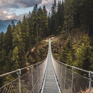 Peinture en plusieurs parties Pont Suspendu Dans Une Forêt De Montagne 3D – Image 1
