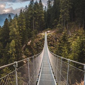 Peinture en plusieurs parties Pont Suspendu Dans Une Forêt De Montagne 3D – Image 1
