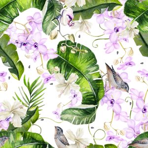 Papier Peint Plantes Nature Orchidées Fleurs – Image 1