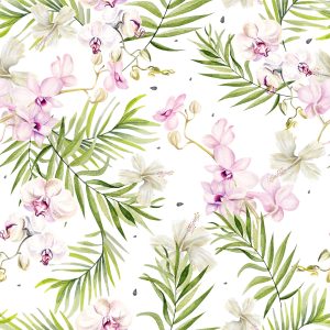 Papier Peint Orchidées Orchidées Fleurs De La Nature – Image 1