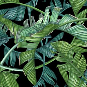 Papier Peint Feuilles De Palmiers Tropicaux – Image 1