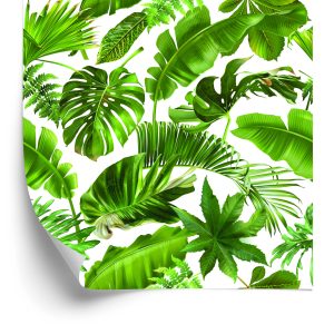 Papier Peint Feuilles Tropicales – Image 2
