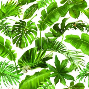 Papier Peint Feuilles Tropicales – Image 1