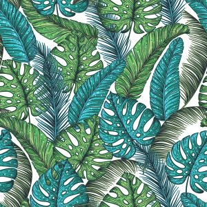Papier Peint Feuilles De Jungle De Monstera – Image 1