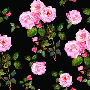 Papier Peint Roses Aux Épines – Image 1