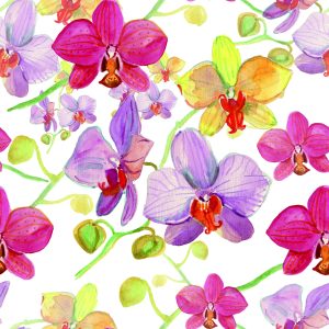Papier Peint Orchidées Nature Fleurs – Image 1