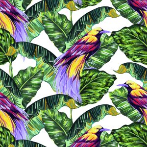 Papier Peint Oiseaux Colorés – Image 1