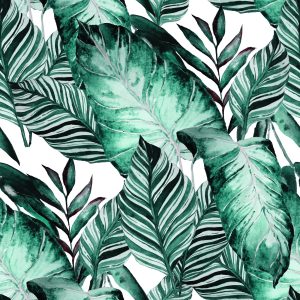 Papier Peint Feuilles Exotiques – Image 1