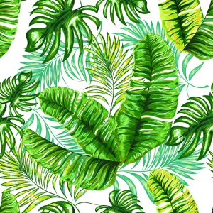 Papier Peint Feuilles De Jungle Tropicale – Image 1