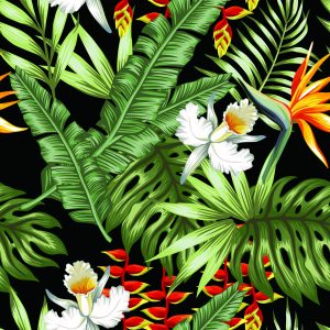Papier Peint Feuilles Tropicales – Image 1
