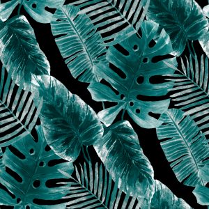 Papier Peint Feuilles De Fruit De La Passion Et De Monstera – Image 1