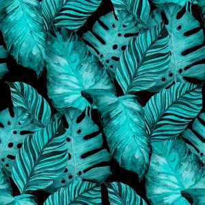 Papier Peint Feuilles De Fruit De La Passion Et De Monstera – Image 1