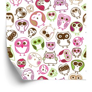 Papier Peint Pour La Chambre Des Filles Hiboux Colorés Oiseaux – Image 2
