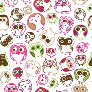 Papier Peint Pour La Chambre Des Filles Hiboux Colorés Oiseaux – Image 1