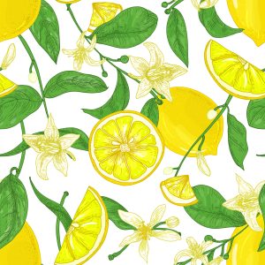Papier Peint Pour La Cuisine - Citrons Juteux – Image 1