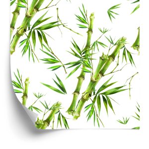 Papier Peint Branches De Bambou Avec Feuilles – Image 2