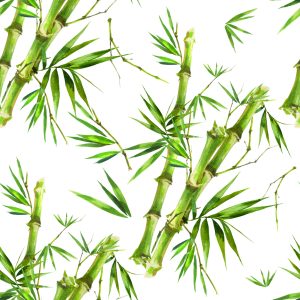 Papier Peint Branches De Bambou Avec Feuilles – Image 1