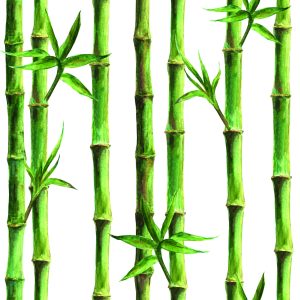 Papier Peint Foret De Bambou – Image 1