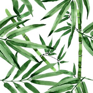 Papier Peint Forêt De Bambous Avec Des Feuilles – Image 1