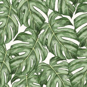 Papier Peint Feuilles De Monstère – Image 1