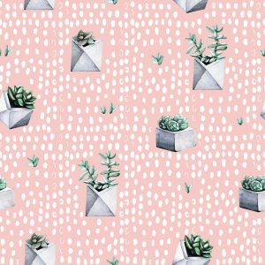 Papier Peint Cactus En Pots – Image 1