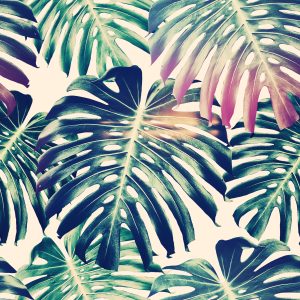 Papier Peint Feuilles De Monstera Rétro – Image 1