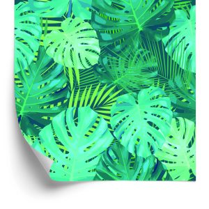 Papier Peint Feuilles De Monstera Exotiques – Image 2