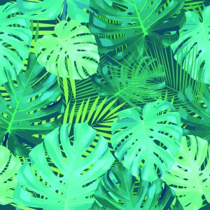 Papier Peint Feuilles De Monstera Exotiques – Image 1