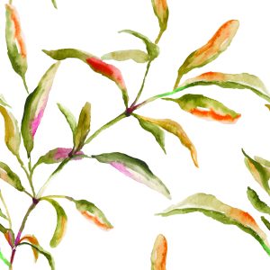 Papier Peint Feuilles D'aquarelle – Image 1