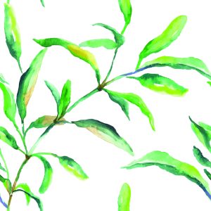 Papier Peint Feuilles D'aquarelle De Printemps – Image 1