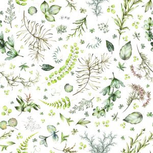 Papier Peint Feuilles De Différents Types – Image 1